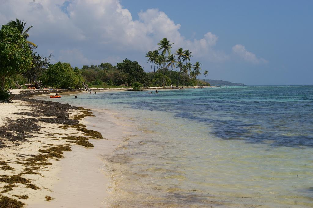 Kaz Creole Aventure Tropicale Insolite, Fibre, Jardin Et Jacuzzi Prives Saint-Francois  Exterior photo